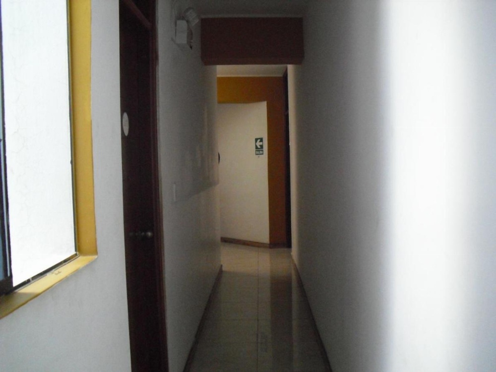 JP-Ebe Nezer Image 14